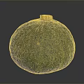 Fresh Green Pumpkin With Striped Surface And Yellow Stem As Organic Vegetable