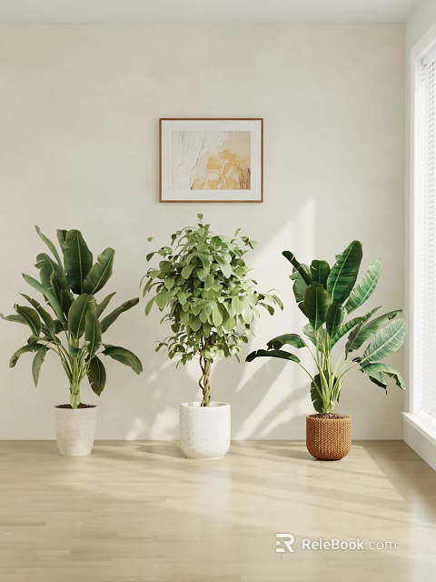 Indoor Potted Plants with White Ceramic and Brown Woven Pots in Bright Room by Window 3d model 