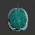 Cute Blue And White Puffer Fish With Big Eyes And Spikes
