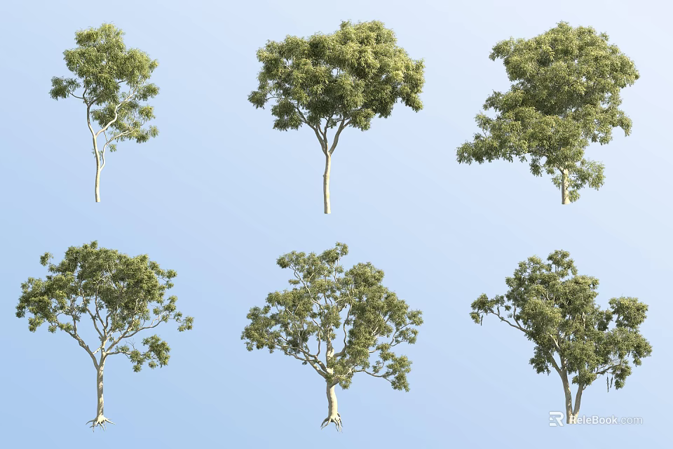 Green Leafy Trees With Various Canopy Shapes Growing Against Clear Blue Sky 3d model