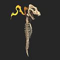 Mythical Skeleton Dragon Weapon With Flaming Tail And Sharp Teeth