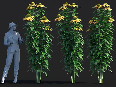 Tall Ornamental Garden Shrubs With Lush Green Leaves And Vibrant Yellow Flowers 3d model