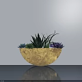 Succulent Bonsai Potted Plant with Various Colored Leaves in Light Brown Pot on Smooth Surface against White Wall
