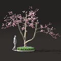 Person Standing Near Blooming Tree With Pink Blossoms And Lush Green Plants