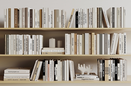 Modern Books 3d model