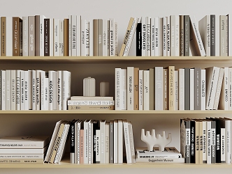 Modern Books 3d model