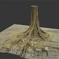 Natural Wood Tree Stump with Exposed Roots Growing Through Cracked Stone Slabs