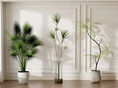 Different Potted Plants in White Pots and Glass Vase Against White Wall on Wooden Floor 3d model