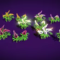 Vibrant Purple Flowers With Yellow Stamens And Green Leaves Against Dark Background