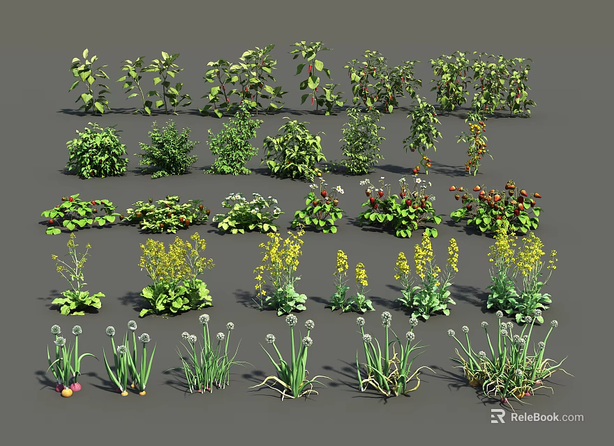 Diverse Agricultural Crop Plants With Green Foliage And Multiple Growth Stages 3d model 