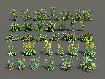 Diverse Agricultural Crop Plants With Green Foliage And Multiple Growth Stages 3d model