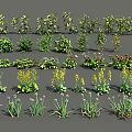 Diverse Agricultural Crop Plants With Green Foliage And Multiple Growth Stages