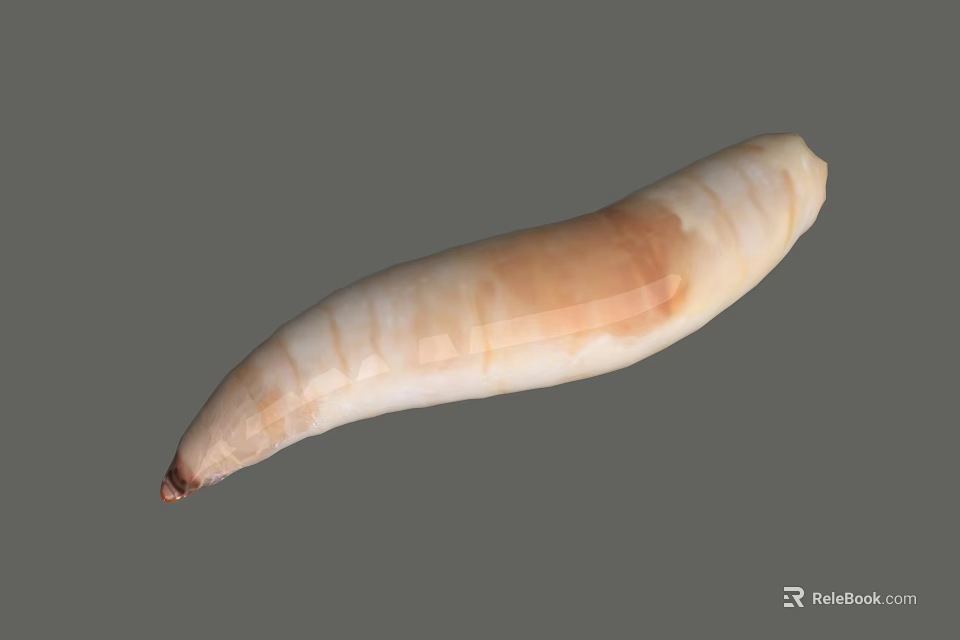 Long Cylindrical Sausage With Beige Brown Hue And Smooth Exterior 3d model 