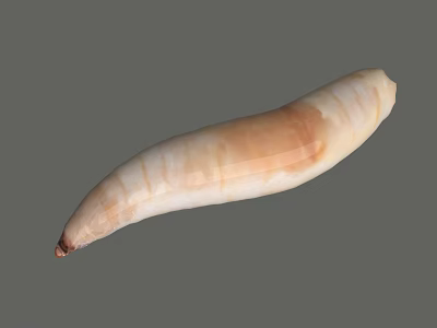 Long Cylindrical Sausage With Beige Brown Hue And Smooth Exterior 3d model