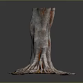 3D Wooden Tree Trunk with Stone Base Exposed Roots and Golden Accents