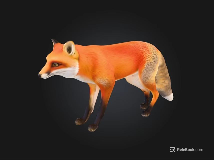 Realistic Red Fox With Orange Fur And White Underbelly On Black Background 3d model 