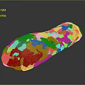 Freshly Baked Long Loaf Artisan Bread With Golden Crust And Soft Interior