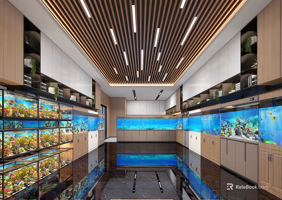 Modern Aquarium Store Interior With Display Aquariums Glass Cabinets And Ceiling Lighting 3d model 
