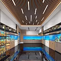 Modern Aquarium Store Interior With Display Aquariums Glass Cabinets And Ceiling Lighting