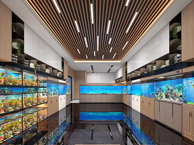 Modern Aquarium Store Interior With Display Aquariums Glass Cabinets And Ceiling Lighting 3d model