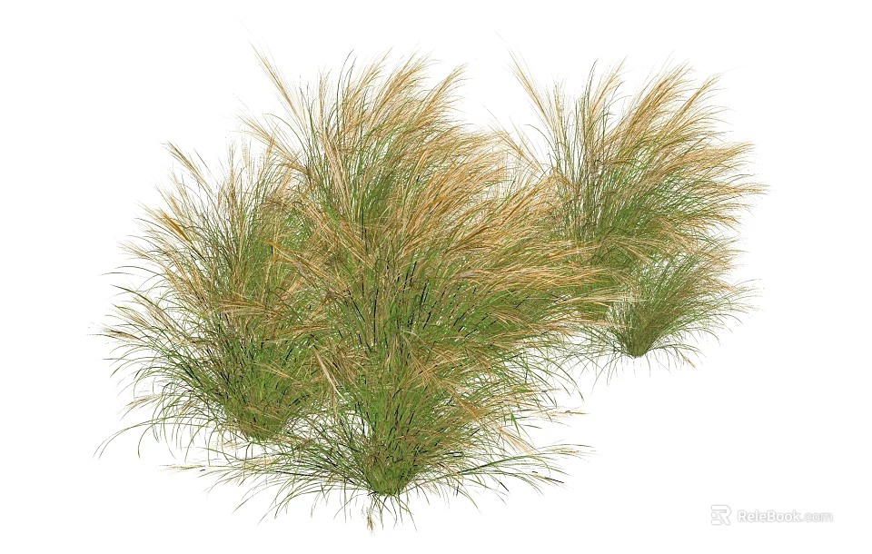 Ornamental Grass Clumps With Green And Golden Foliage For Garden Landscaping 3d model 