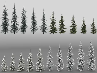 Natural Scene of Pine Trees in Rows With Snow Covered and Uncovered Varieties 3d model