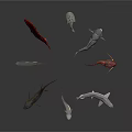 Various Fish Species in Different Colors Arranged in Circle on Dark Background