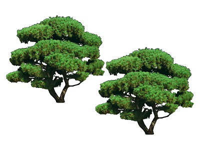 Two Green Arbor Trees With Lush Dense Foliage And Unique Canopy Shape 3d model
