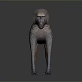 Brown Fur Baboon Standing In 3D Model With Dark Background And Reflection 3d model