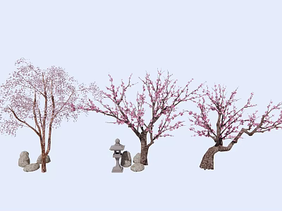 Pink Blossom Arbor Trees With Stone Lanterns And Decorative Stones In Garden 3d model