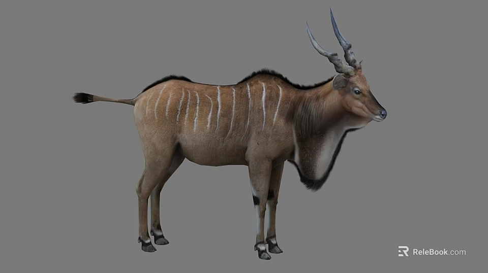 Large Antelope With Spiral Horns And White Stripes On Brown Coat 3d model 