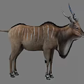Large Antelope With Spiral Horns And White Stripes On Brown Coat