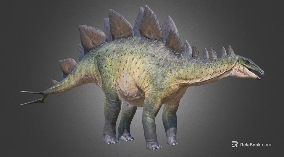 Reptile Stegosaurus with Bony Plates on Back Green Yellow Skin and Long Tail 3d model 
