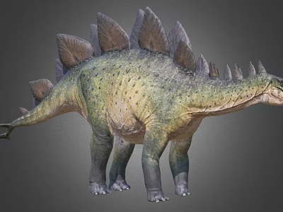 Reptile Stegosaurus with Bony Plates on Back Green Yellow Skin and Long Tail 3d model