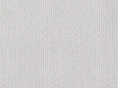 Gray Textured Wall with Fine Detailed Surface Texture for Modern Interior Design 3d model