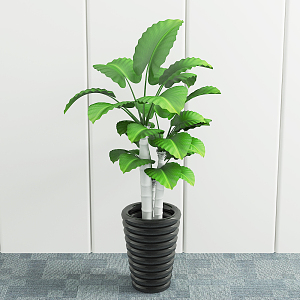 modern potted plant green plant 3d model