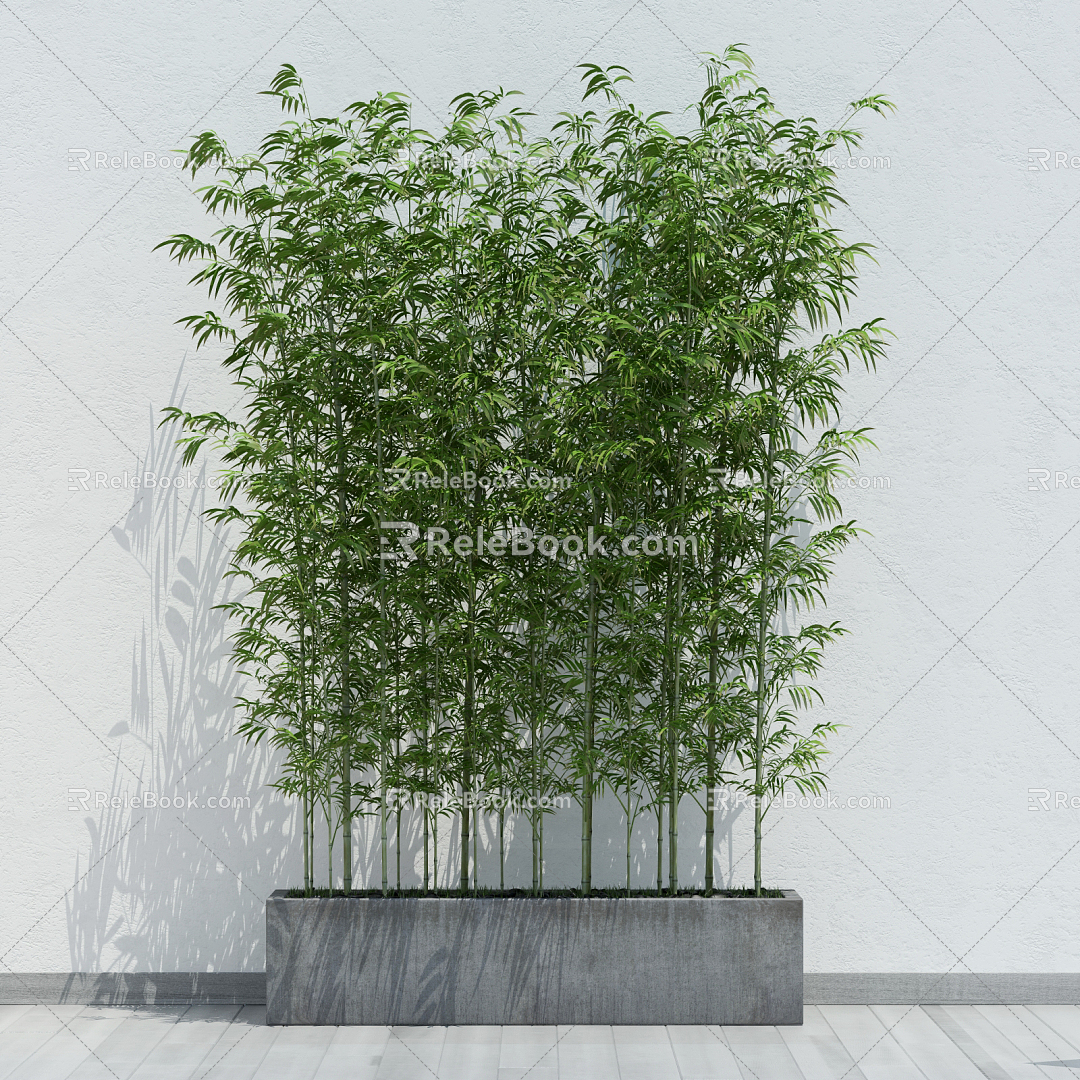 Modern Bamboo Plant Collection 3d model