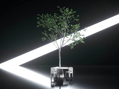 Green Tree With Small Table And Two Chairs In Black Background White Light Beam 3d model