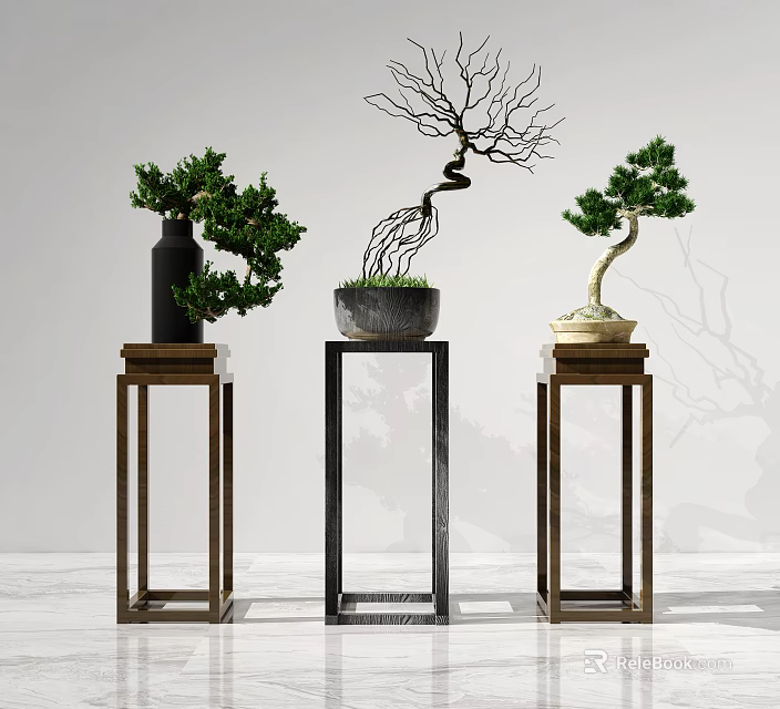 Varied Bonsai Plants with Green Foliage and Curved Branches on Wooden and Metal Stands 3d model 