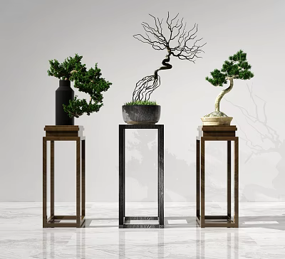 Varied Bonsai Plants with Green Foliage and Curved Branches on Wooden and Metal Stands 3d model