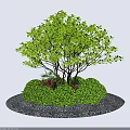 Round Green Bushes Arrangement With Central Tree Gravel Ground And Red Flowers