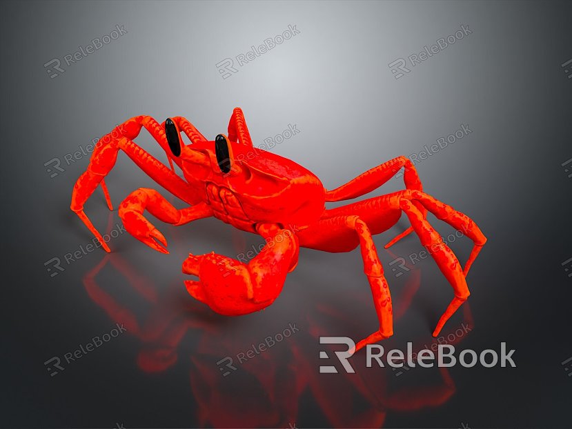 crab sea crab river crab hairy crab bread crab hermit crab big crab small crab marine animal fish model