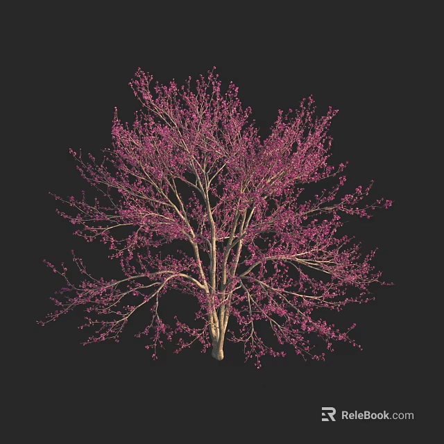 Vibrant Arbor With Pink Flowers And Lush Branches On Dark Background 3d model 