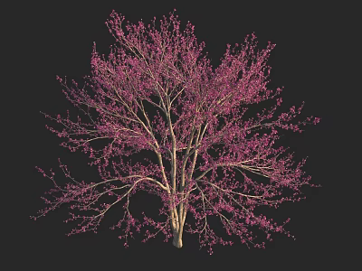 Vibrant Arbor With Pink Flowers And Lush Branches On Dark Background 3d model
