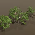 Vibrant Green Trees With Lush Foliage And Strong Trunks In Natural Setting