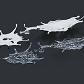 Garden Decorative Accents With White Transparent Water Splashes On Black Background