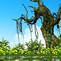 Ancient Tall Tree With Hanging Vines Surrounded By Lush Vegetation And Pond Under Blue Sky