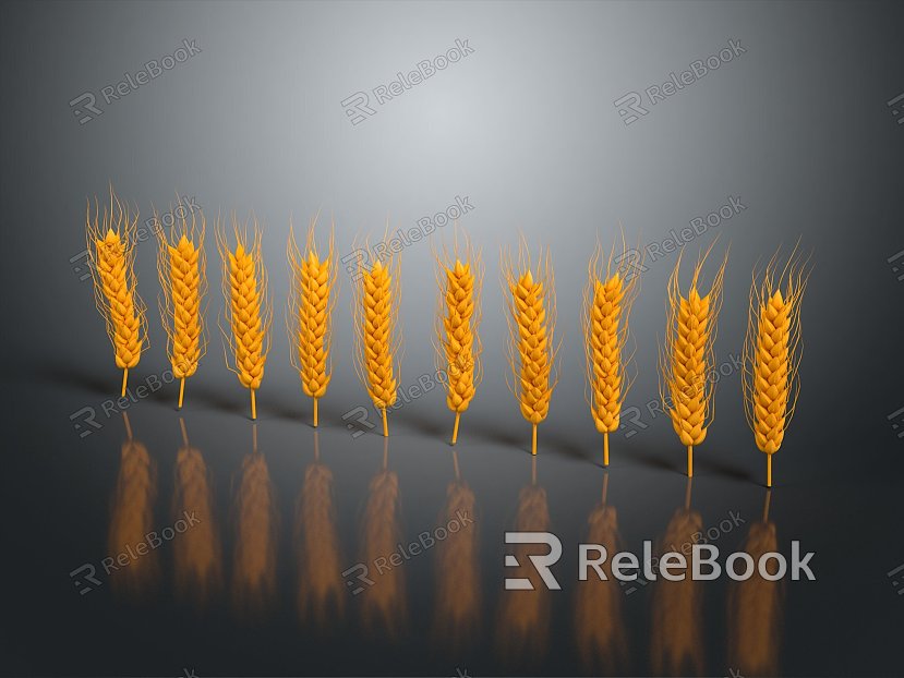 Modern Wheat Wheat Wheat Ear Food model