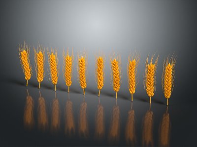 Modern Wheat Ear Food 3d model