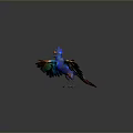 Colorful Bird With Spread Vibrant Rainbow Wings Blue Body And Iridescent Feathers